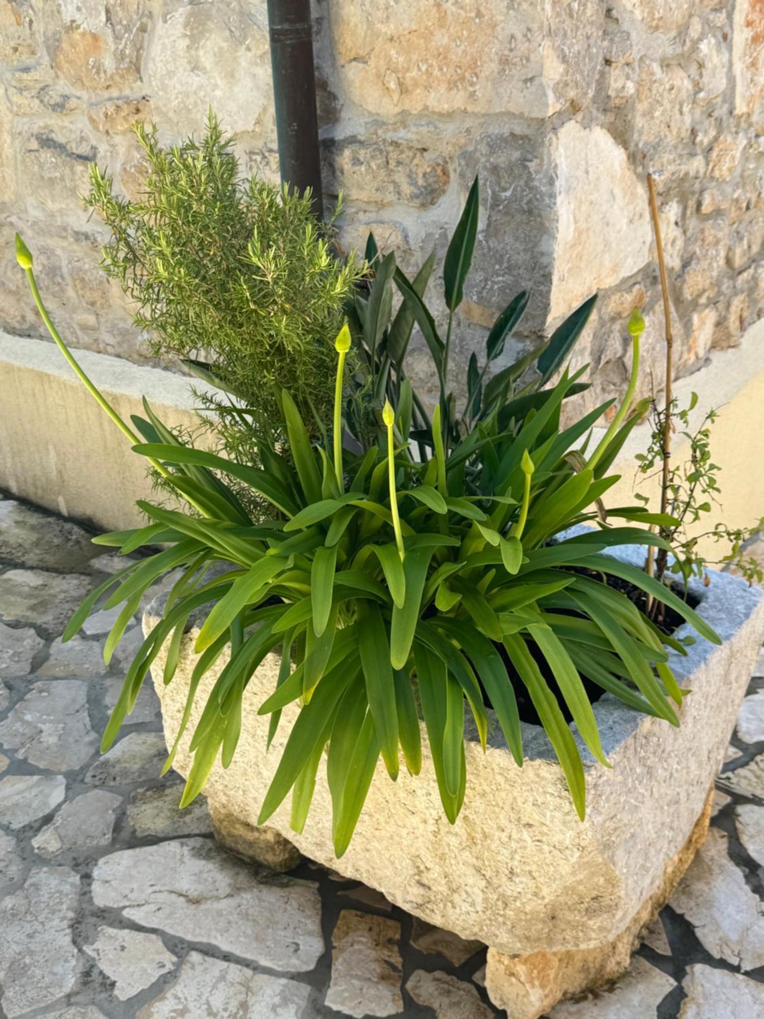 Mediterranes Ferienhaus M. Terrasse 베리로신즈 외부 사진