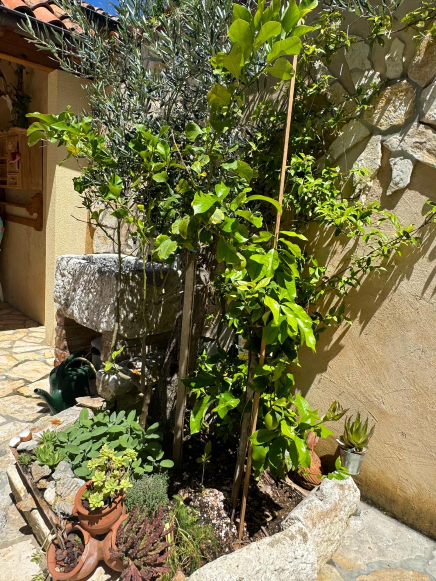 Mediterranes Ferienhaus M. Terrasse 베리로신즈 외부 사진